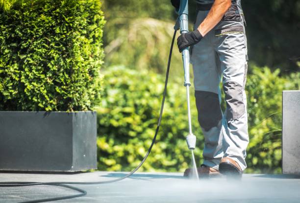 Best Patio and Deck Pressure Washing  in Calverton, MD