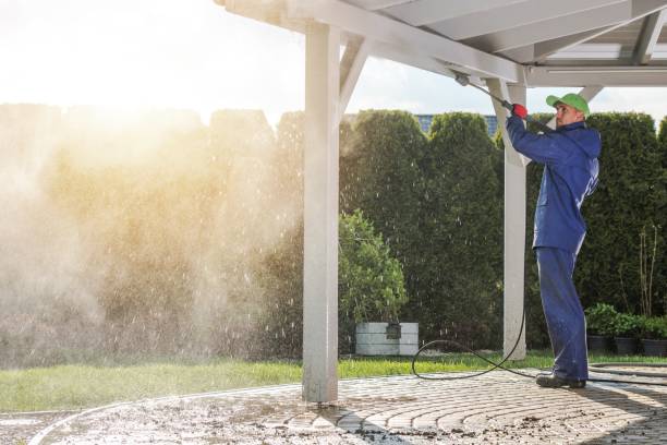 Best Soft Washing  in Calverton, MD