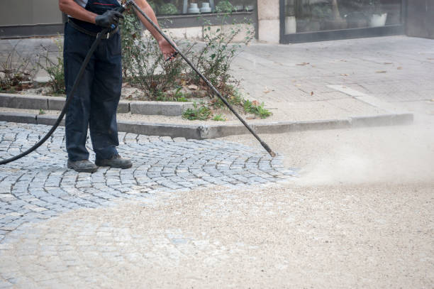 Animal Enclosure Cleaning in Calverton, MD